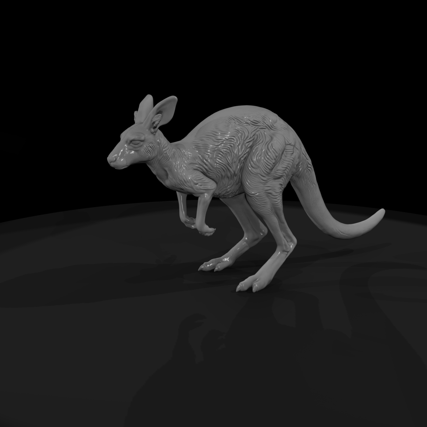 Ant 080 Red Kangaroo Female
