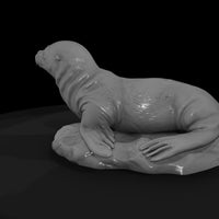 ant-141-sea-lion-adolescent — thumbnail 5