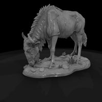 ant-227-blue-wildebeest-female — thumbnail 5