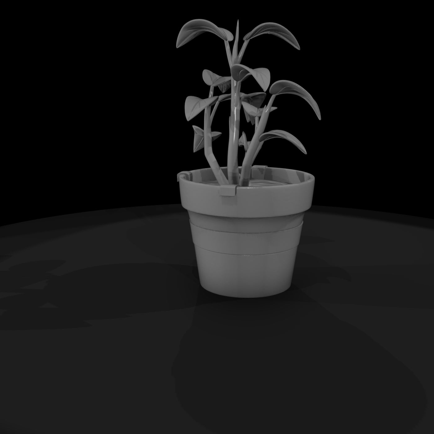 stylized-large-potted-houseplant-047010