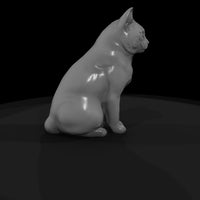 sitting_heterochromatic_white_cat_3d_model_xmjcc4u4 — thumbnail 5