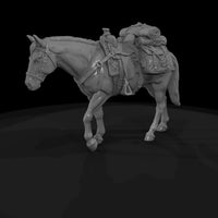 ww-0281-animal-packhorse — thumbnail 5