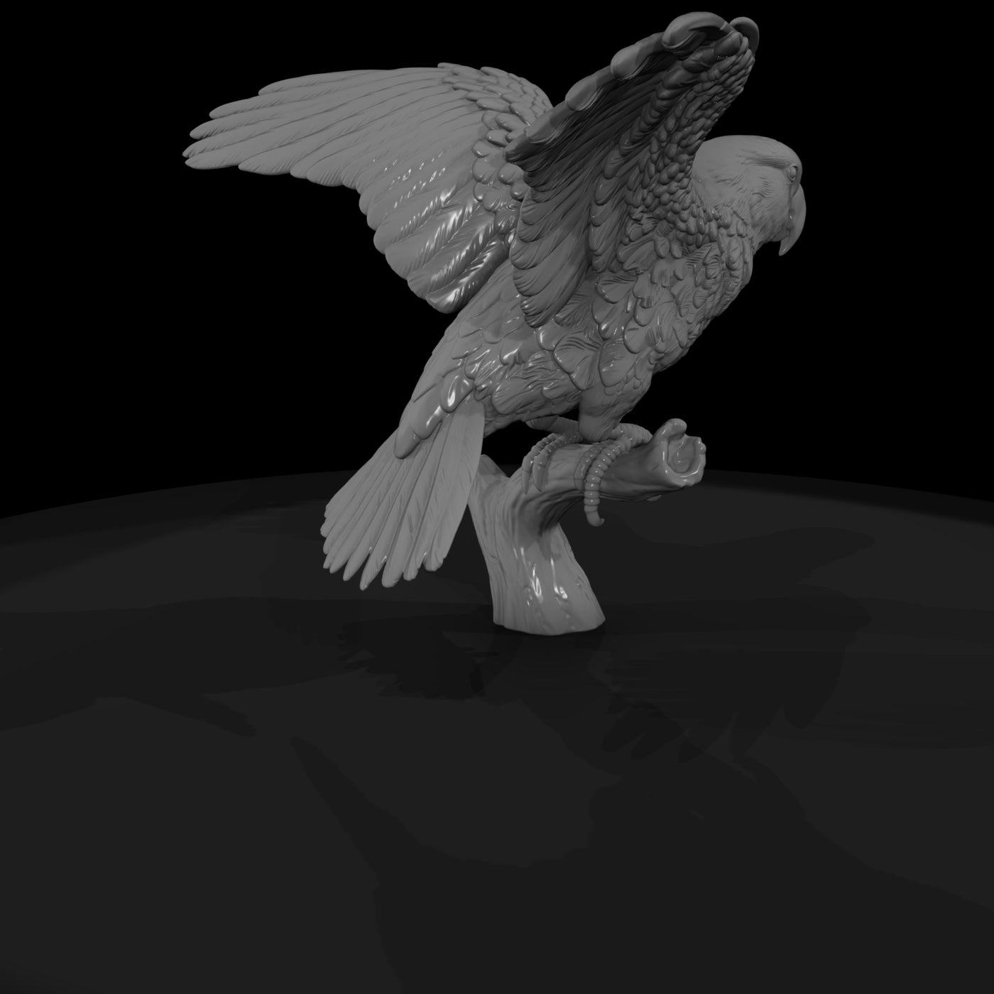 ant-133-eclectus-parrot-male