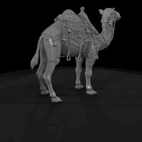 cir-122-animal-circus-camel — thumbnail 5