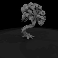 20260612-twisted-tree-rocky-desert-c3b1e2146c — thumbnail 5