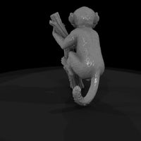 ant-198-olive-baboon-adolescent — thumbnail 5
