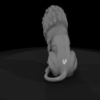 cir-114-animal-sitting-lion — thumbnail 5