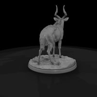 ant-244-nyala-male — thumbnail 5