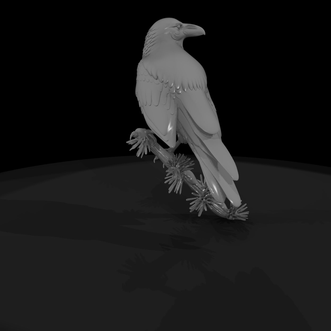 perched-raven-on-pine-branch-858575