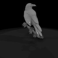 perched-raven-on-pine-branch-858575 — thumbnail 6