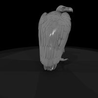realistic-vulture-miniature-for-dioramas-830933 — thumbnail 6