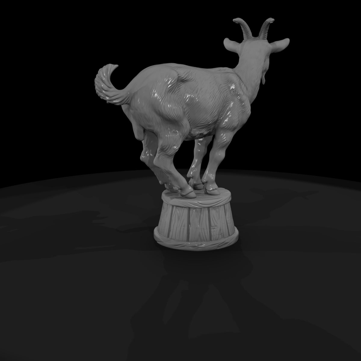 cir-128-animal-trained-goat