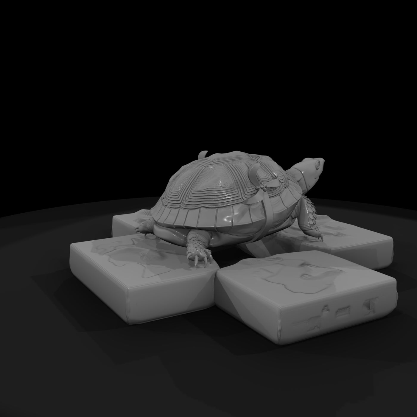 stylized-box-tortoise-3d-model-c5aktigk-67a07e