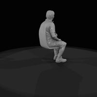 seated-passengers-modern-tourist — thumbnail 5