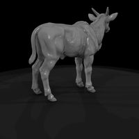 ant-243-eland-adolescent — thumbnail 5