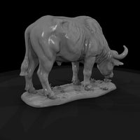 ant-224-cape-buffalo-female — thumbnail 5