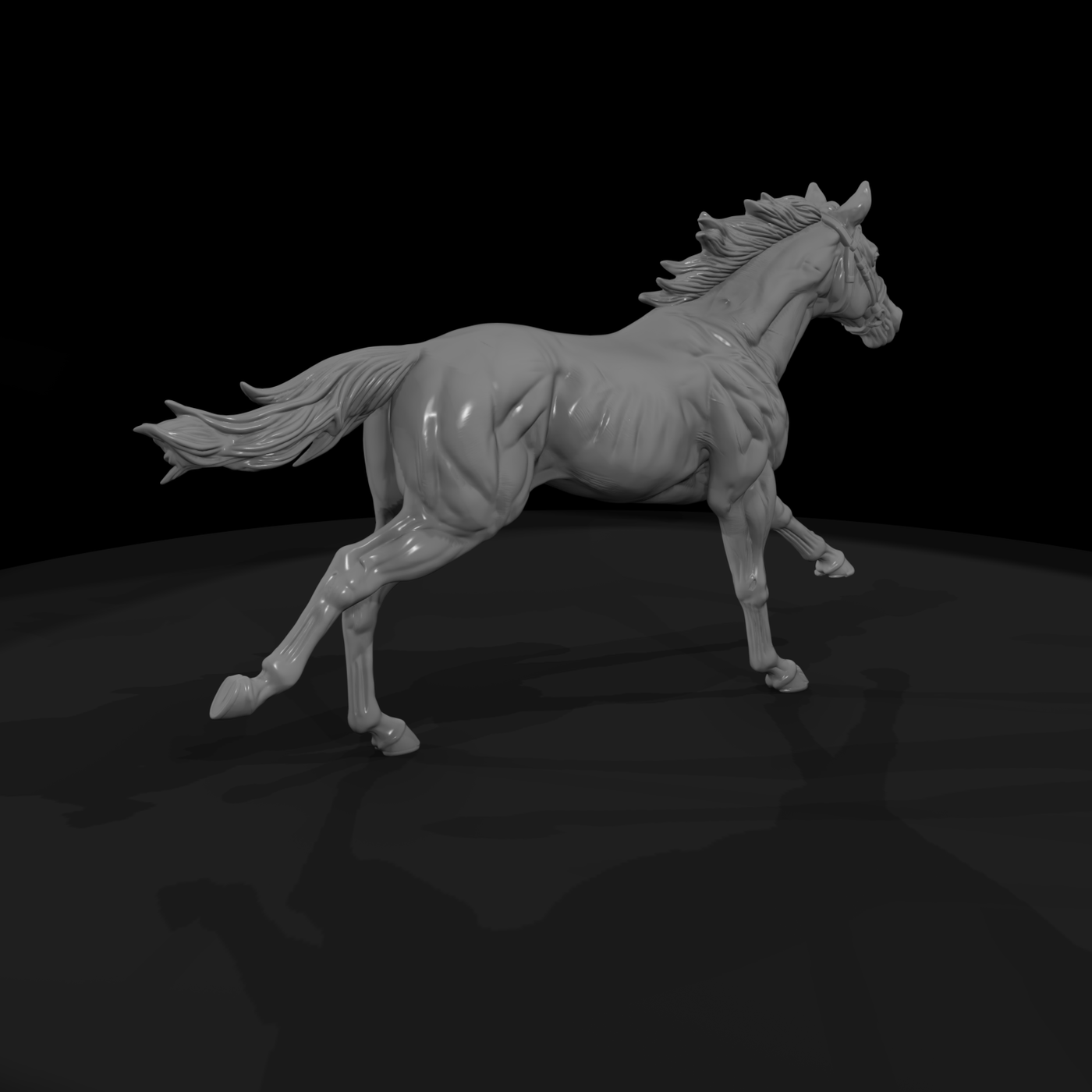 Ww 0286 Animal Galloping Horse