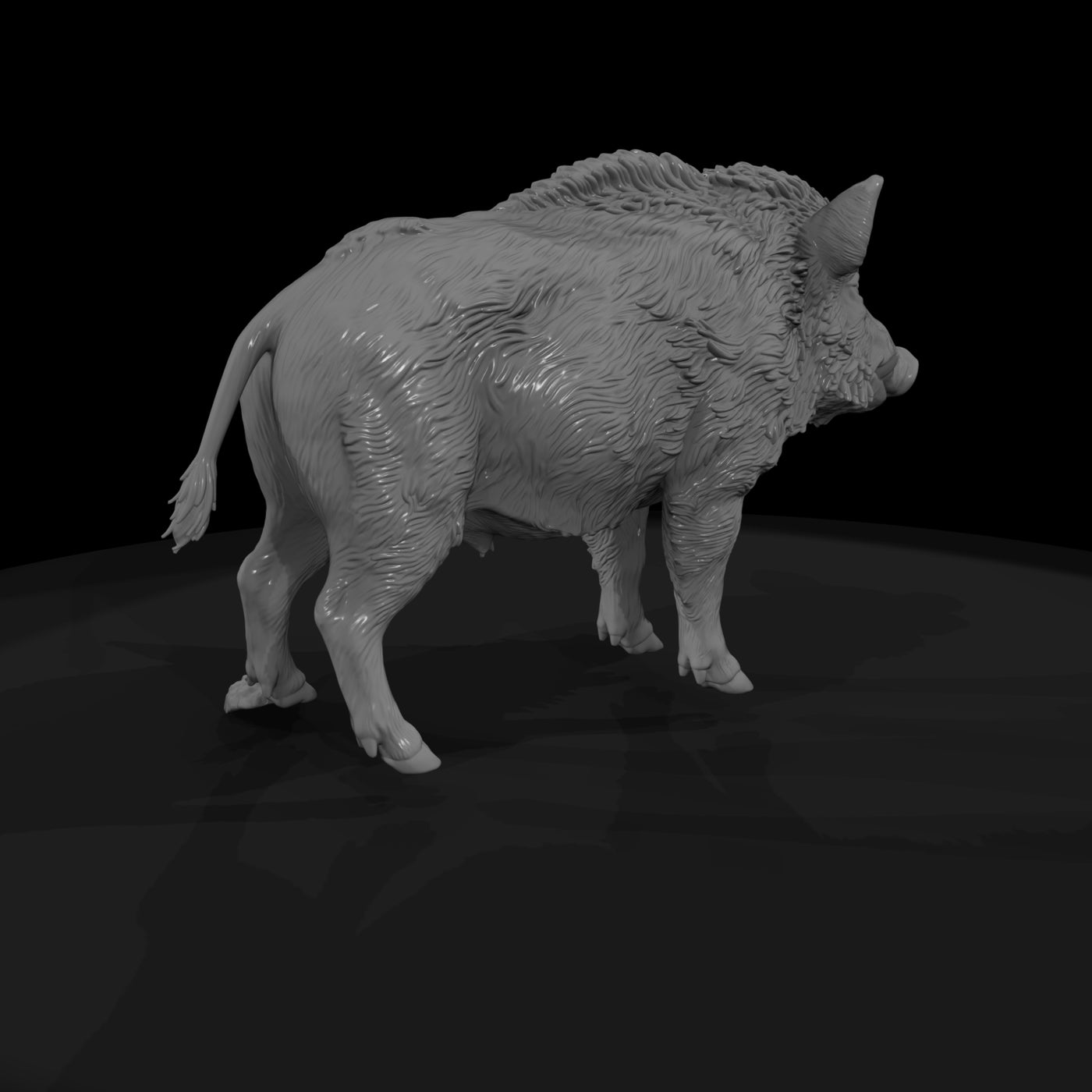 ant-074-wild-boar-female