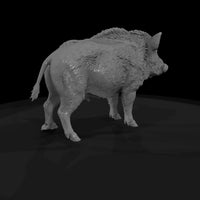 ant-074-wild-boar-female — thumbnail 5