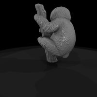 ant-204-three-toed-sloth-adolescent — thumbnail 5