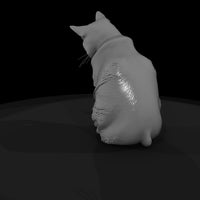 a-collection-of-housecats-grooming-bff3a161-meshre — thumbnail 5