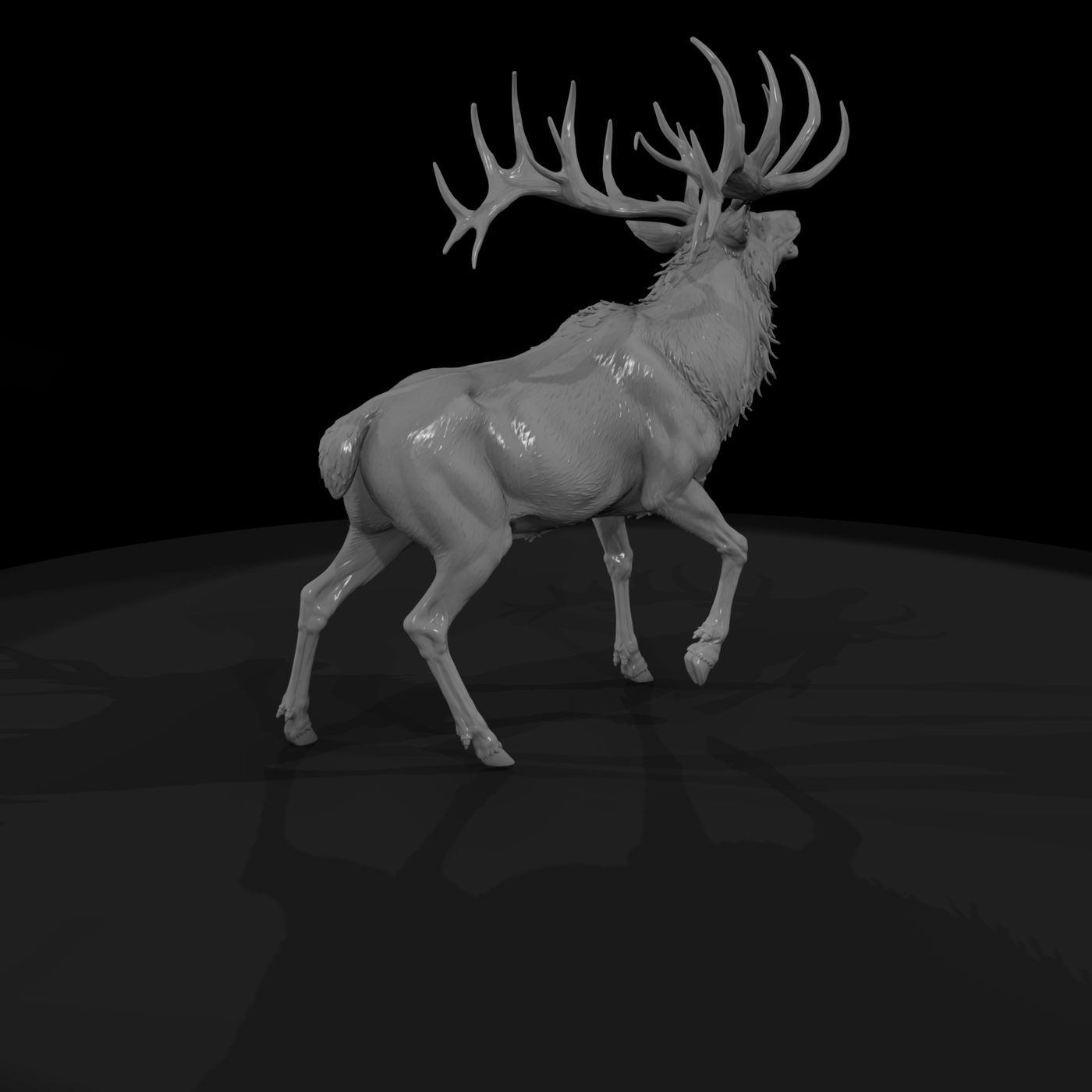 Male Elk