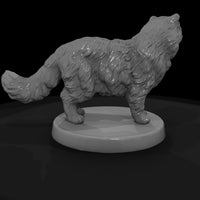 anim-15-persian-cat-01e230 — thumbnail 6