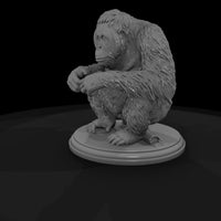 ant-110-orangutan-female — thumbnail 5