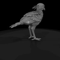 ant-294-secretary-bird-adolescent — thumbnail 5