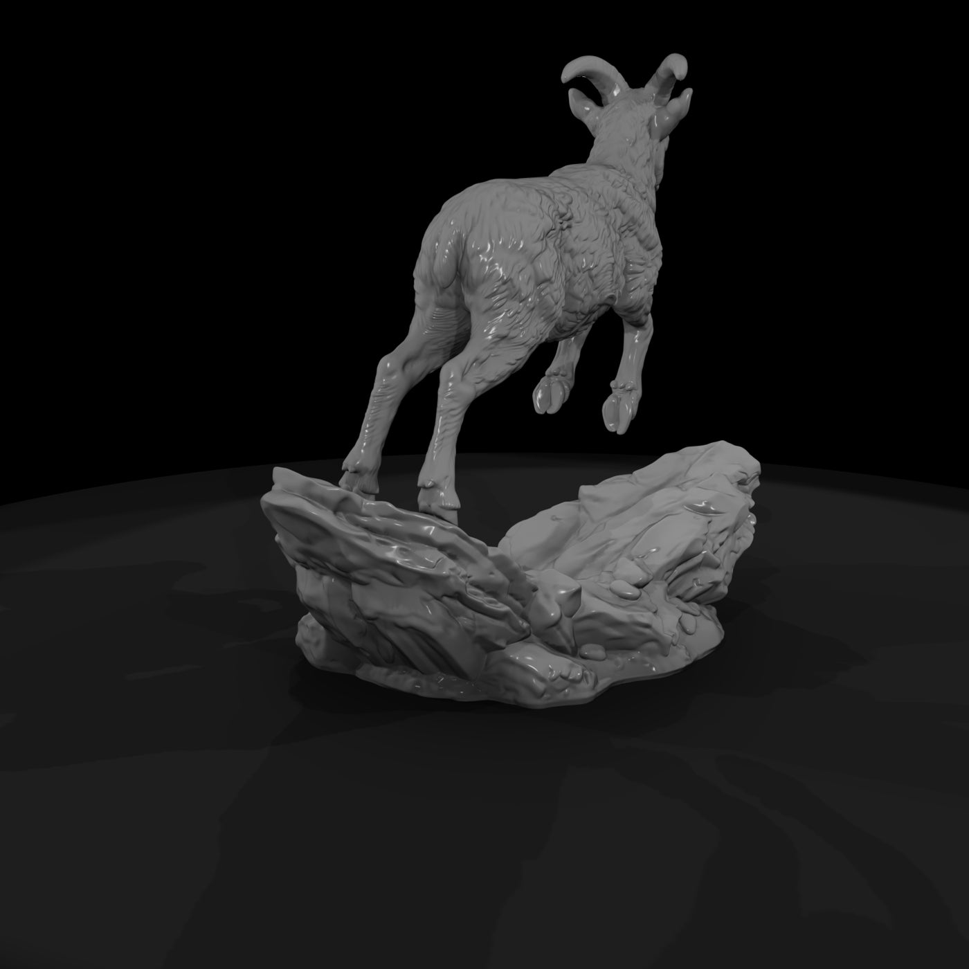 ant-057-bighorn-sheep-adolescent