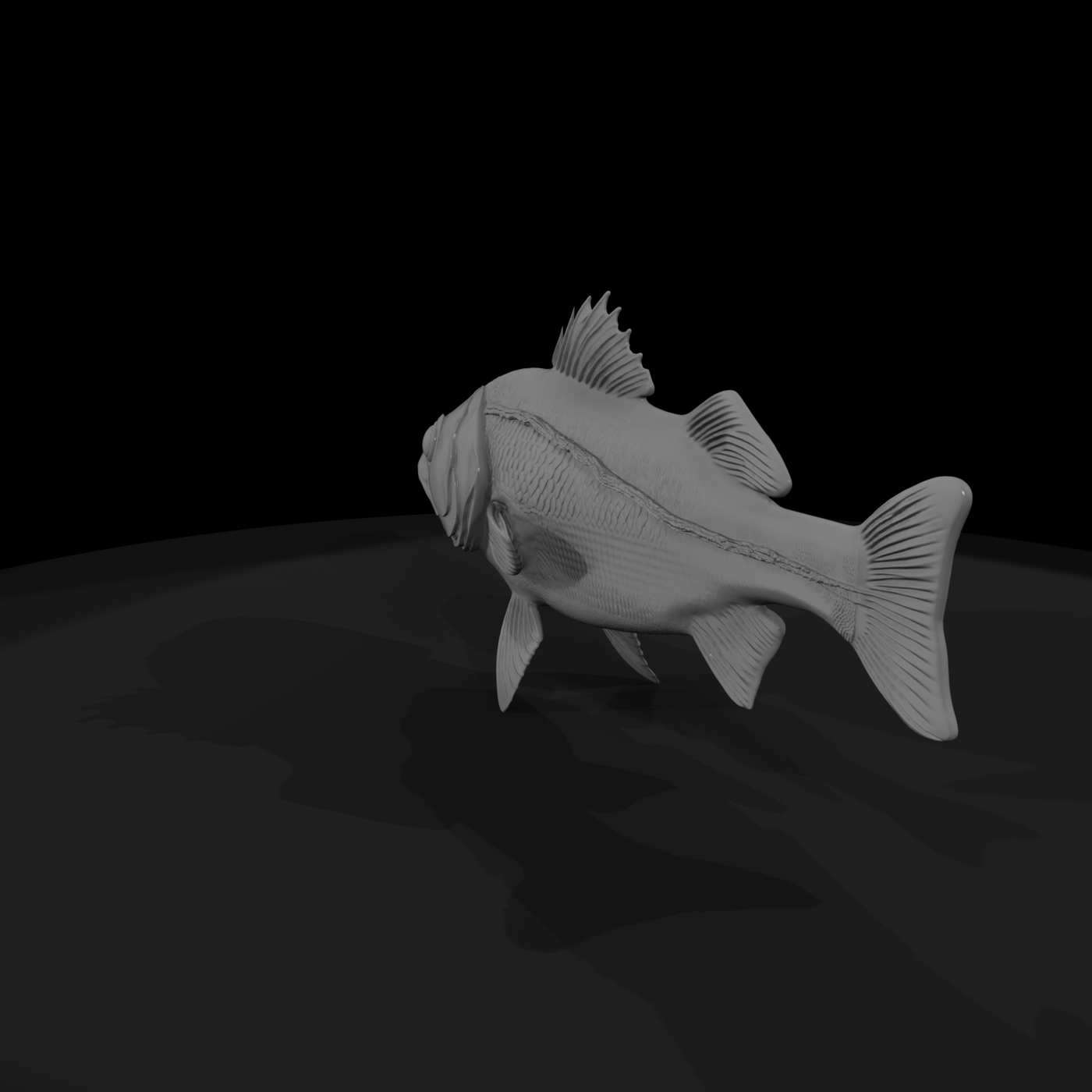 Sculpted Sea Bass