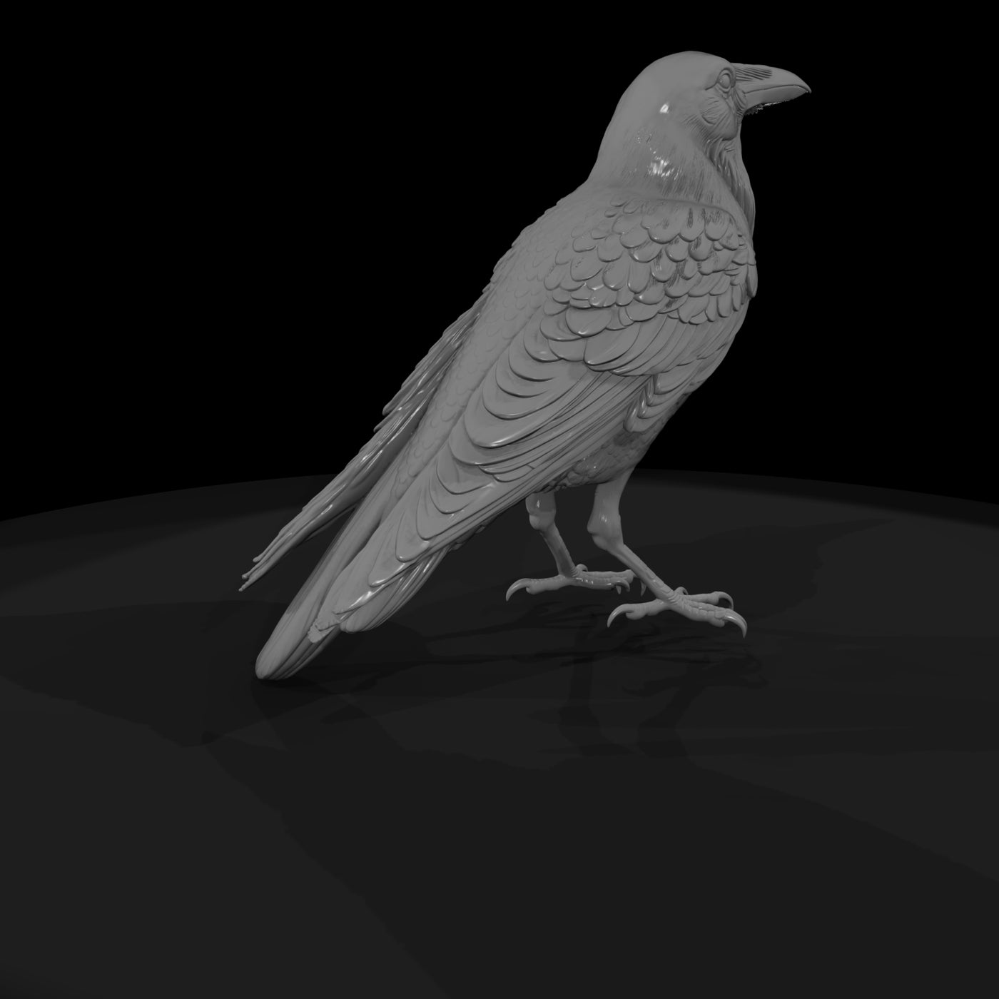 20260612-black-crow-bird-9e24e12319