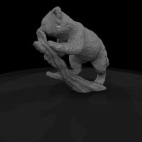 ant-148-red-panda-male — thumbnail 5