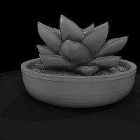 low-poly-monochrome-succulent-planter-3d-printable-050345 — thumbnail 6