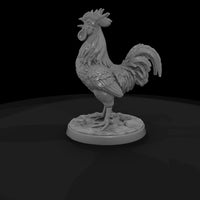 ww-0301-animal-rooster — thumbnail 5