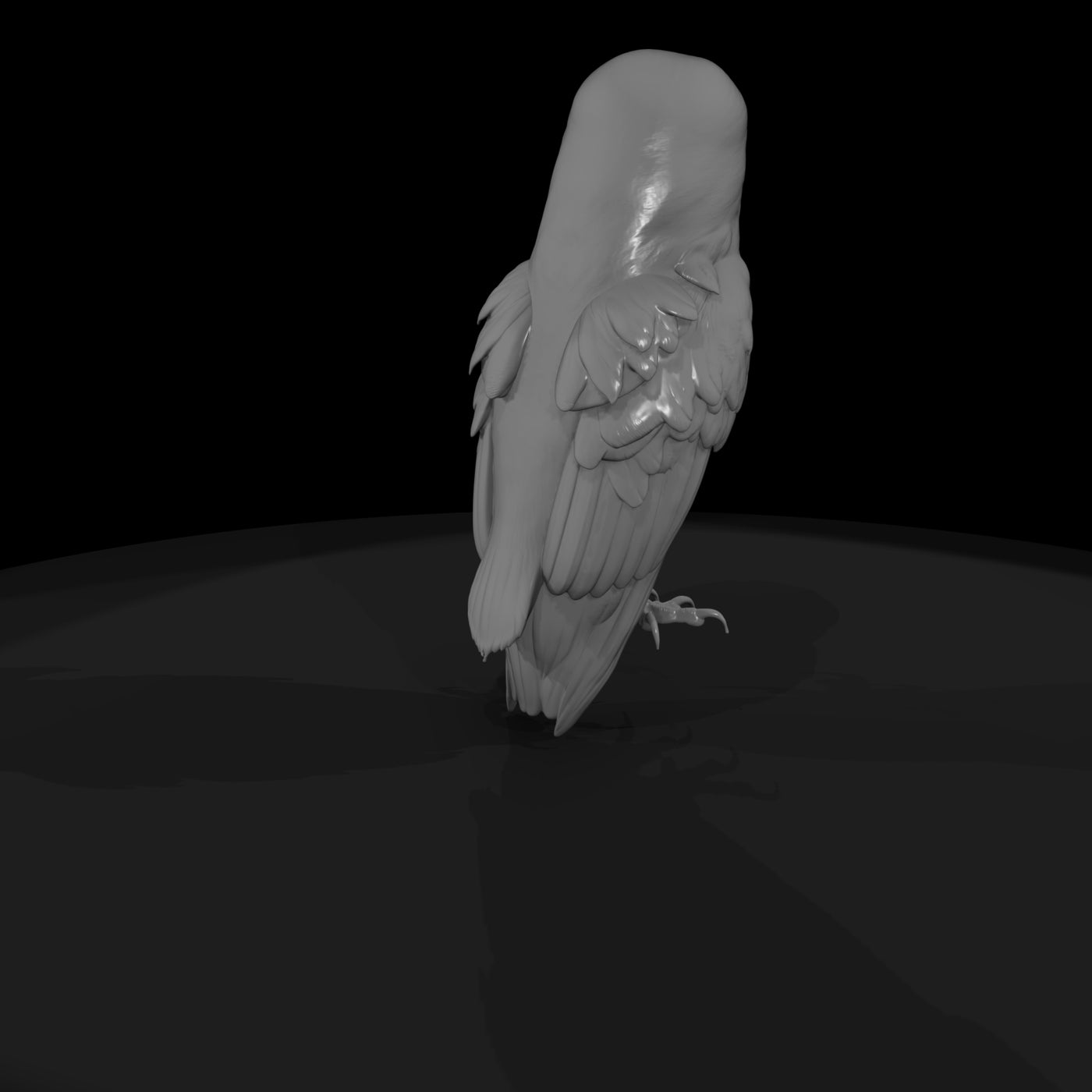 20260612-perched-barn-owl-adef489787