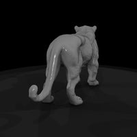 ant-151-jaguar-male — thumbnail 5