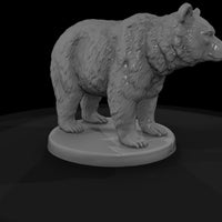 anim-36-black-bear-3df803 — thumbnail 5