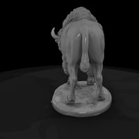 ww-0314-animal-american-bison — thumbnail 5