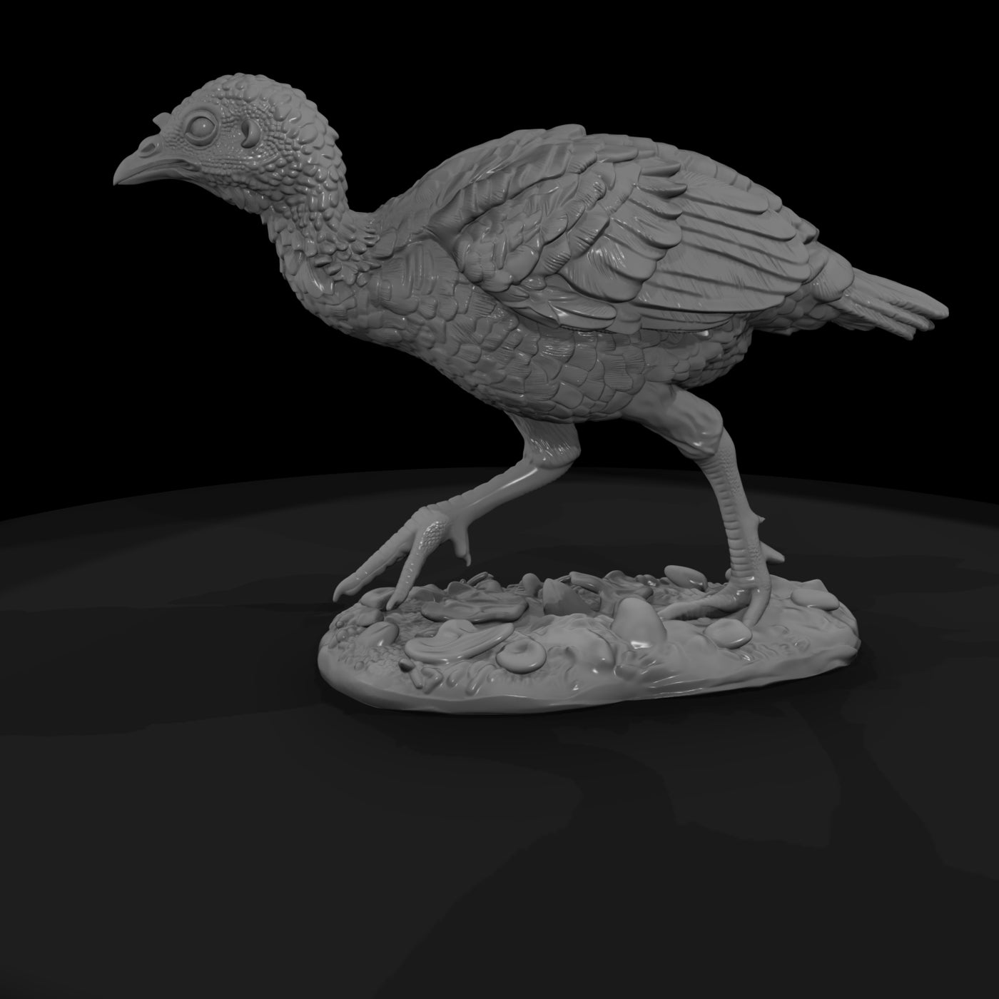 ant-102-wild-turkey-adolescent
