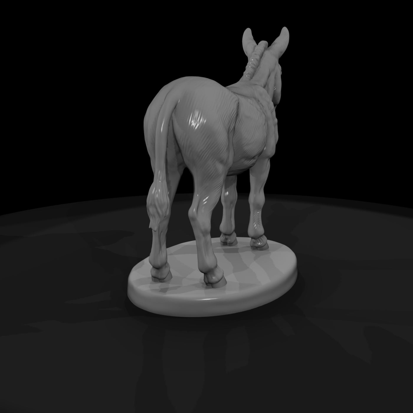 ww-0278-animal-burro