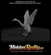 swan-landing — thumbnail 5