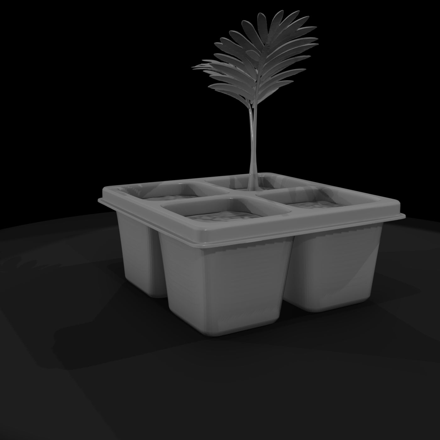 minimalist-seedling-tray-with-palm-saplings-329217