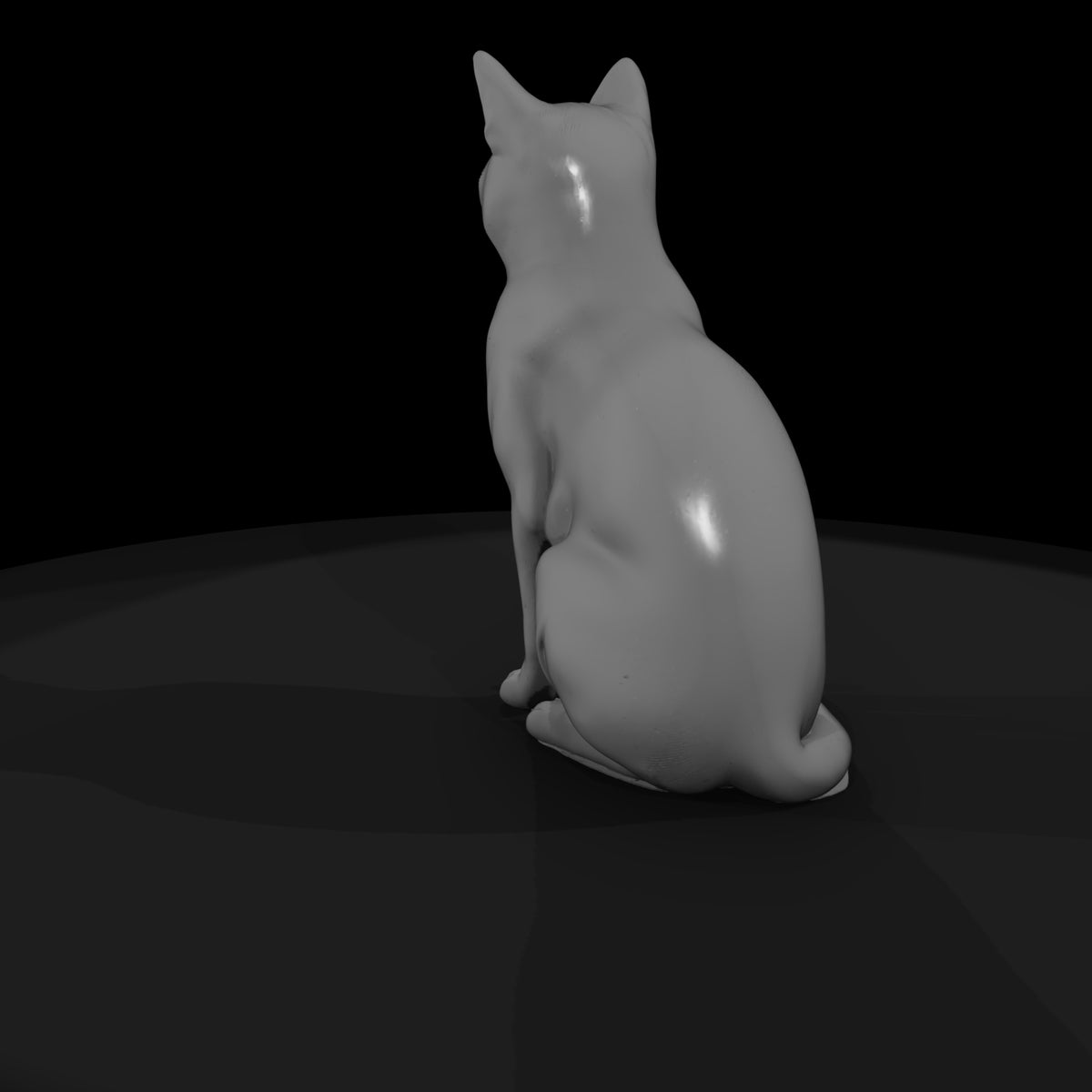 a-collection-of-housecats-snowshoe-bc6d2bb2-meshre