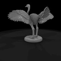 ant-082-ostrich-male — thumbnail 5