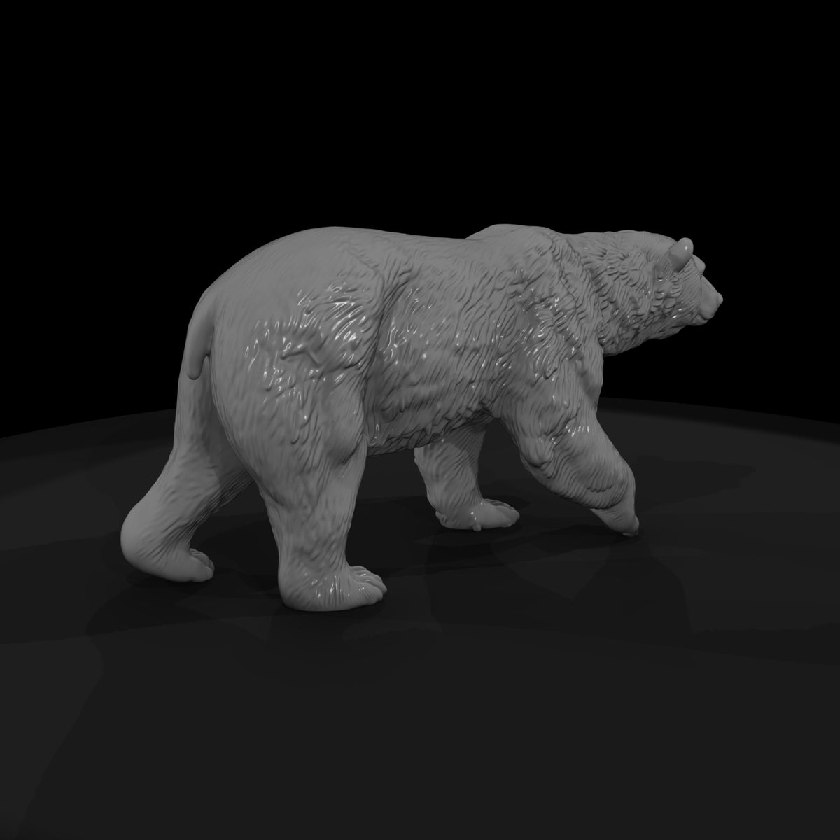 ant-209-polar-bear-female