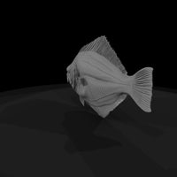 flounder-miniature-for-dioramas-aquariums-543845 — thumbnail 6