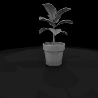 stylized-monochrome-potted-fiddle-leaf-fig-socjkaw — thumbnail 5