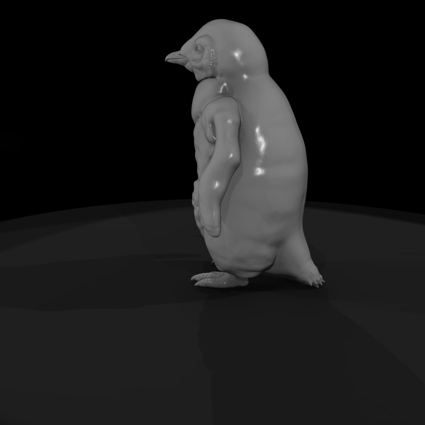Adolescent King Penguin