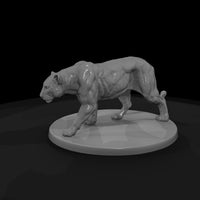 ant-008-leopard-female — thumbnail 5